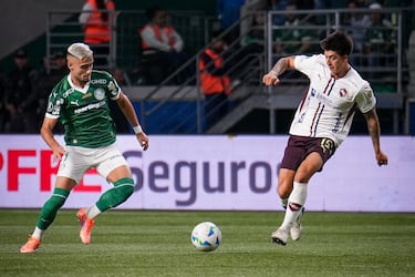 Palmeiras y LDU se enfrentan por la Copa Libertadores.
