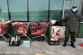 Decomisan más de una tonelada de carne de vacuno en Puerto Montt: iba a ser comercializada en Fiestas Patrias