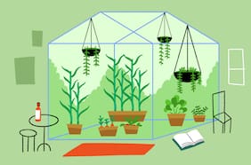 Plantas en invierno: cómo cuidarlas y no fallarles durante las bajas temperaturas