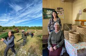 Mirar el cielo para trabajar la cestería