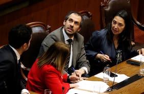 Presupuesto: programa de identidad de género y Fundación Salvador Allende quedan sin recursos y 14 ítems pasan a mixta