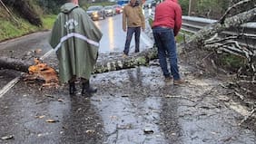 Paso de frente de mal tiempo por zona centro-sur del país deja 29 damnificados y 15 inmuebles con daño mayor