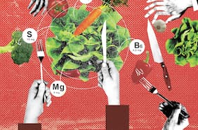 ¿El futuro de la alimentación es verde?