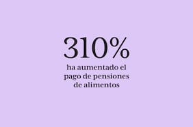 El pago de pensiones de alimentos ha aumentado en un 310%