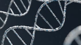 La extraña ventaja genética que tienen las personas que viven en los Andes, según un estudio