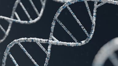 La extraña ventaja genética que tienen las personas que viven en los Andes, según un estudio