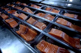 Salmonicultura: aprendizajes en crisis