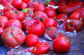 Denuncian los arreglines rancios en Rotten Tomatoes