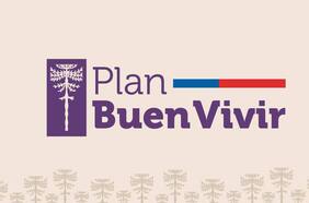 Gobierno crea Consejo Interministerial para potenciar Plan Buen Vivir, la apuesta personal del Presidente Boric para el conflicto en La Araucanía