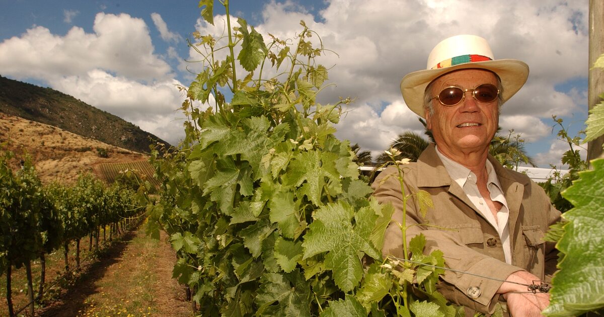 El rescate: Huneeus padre vuelve a tomar el control de la empresa - La ...