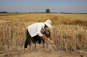 El asesinato que abrió el debate en China sobre el drama de los hijos “dejados atrás”