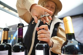 Día Nacional del Vino se celebrará con fiesta enoturística en el centro de Santiago este jueves y viernes