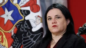 Steinert y detenidos por agresión a la ministra Lincolao: “Vamos a solicitar las medidas cautelares más gravosas”