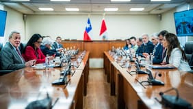 Patrullajes conjuntos y coordinación policial: las definiciones de la primera reunión del comité binacional entre Chile y Perú