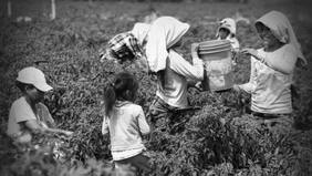 Los desafíos que persisten para erradicar el trabajo infantil en Chile