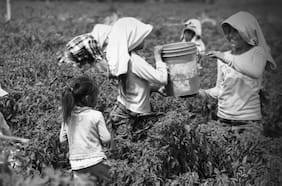 Los desafíos que persisten para erradicar el trabajo infantil en Chile