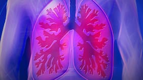 El nuevo mecanismo que reduce el daño pulmonar y las infecciones severas