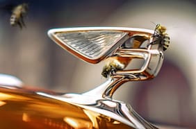 El dulce negocio con el que Bentley bate récord