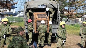 Japón despliega tropas del Ejército para combatir creciente ola de ataques mortales de osos