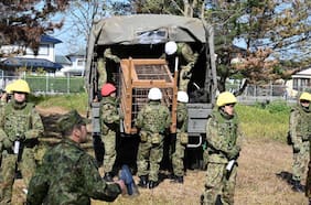 Japón despliega tropas del Ejército para combatir creciente ola de ataques mortales de osos