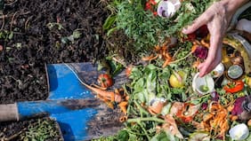 Primer año de programa ecológico en Las Condes cierra con más de 2 mil toneladas de residuos reciclados