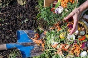 Primer año de programa ecológico en Las Condes cierra con más de 2 mil toneladas de residuos reciclados