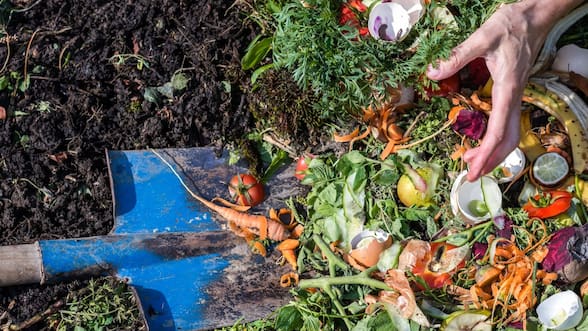 Primer año de programa ecológico en Las Condes cierra con más de 2 mil toneladas de residuos reciclados