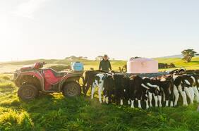 Cómo la industria lechera está apuntando a una agricultura más sustentable y baja en emisiones
