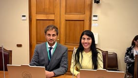 En La Moneda y frente a Irarrázabal: la discusión que terminó por quebrar la relación entre Araos y Lincolao