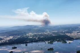 Alerta roja por incendio forestal en Hualqui: director regional de Conaf acusa que siniestro “fue intencional”
