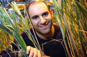 ¿Es mejor la harina integral? Cristóbal Uauy, el científico chileno que ayudó a descifrar el genoma del trigo, ahora busca cómo potenciar este alimento