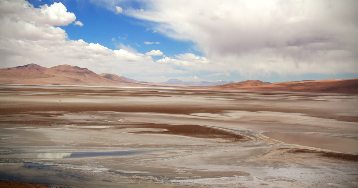 Consulta indígena en Atacama avanzó en 2025
