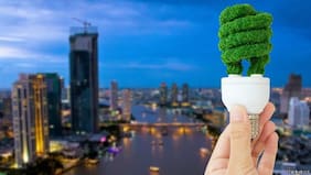 Cinco noticias positivas en materia climática que dejó 2025 y que vale la pena conocer