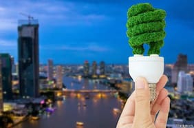 Cinco noticias positivas en materia climática que dejó 2025 y que vale la pena conocer