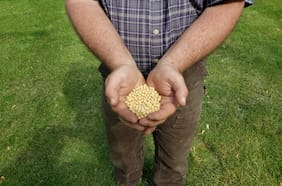 Agricultura inteligente: una revolución verde