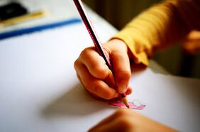 La columna de Ricardo Escobar: “Laputienses, la educación pública vs productividad en Chile”