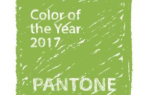 La polémica del verde