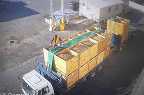 Recuperan camión robado con 25 mil kilos de nueces en Paine: detuvieron a 13 sujetos