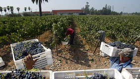 Visas laborales bordearon las 200 mil en 2025 y bolivianos superan a venezolanos