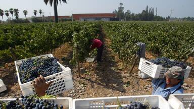 Visas laborales bordearon las 200 mil en 2025 y bolivianos superan a venezolanos