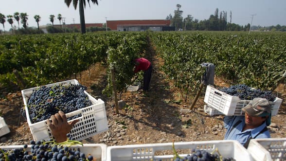 Visas laborales bordearon las 200 mil en 2025 y bolivianos superan a venezolanos