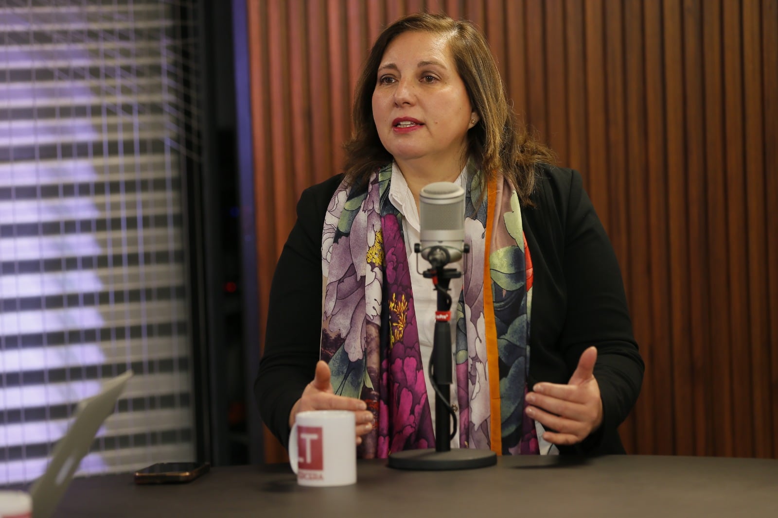 Paulina Vodanovic (PS) descarta más plazo para negociar megarreforma: "Quiroz dijo que estaba por mantener el cronograma"