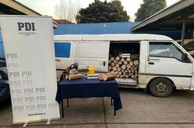 Detienen en flagrancia a sujetos por robo de maderas desde predio forestal en Angol