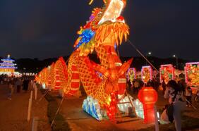 Fesiluz Las Condes: lugar, fechas y precios del nuevo festival de luces de China