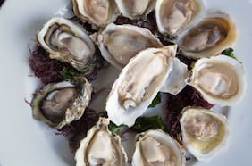 Mar de Amores: El primer restaurante de mariscos vivos de Valparaíso