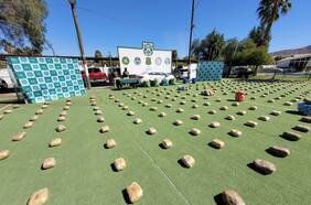 A la caza del tráfico en verano: Carabineros incautan más de cinco toneladas de drogas en lo que va de la temporada estival