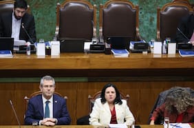 Exposición de Steinert en la Cámara incomoda al oficialismo y desata cuestionamientos en la derecha