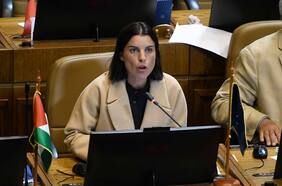 Comisión de Ética de la Cámara se apresta a definir sanción a diputada Orsini (RD) por caso “telefonazo”