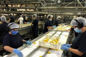 Aconcagua Foods abre 2 mil puestos de trabajo: conoce cuáles son y cómo postular