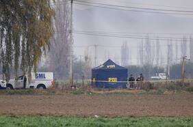 Columna de Óscar Contardo: Umbrales de asombro